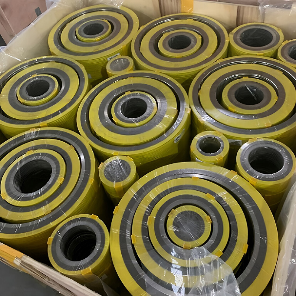 Duplex 2205 Spiral Wound Gasket